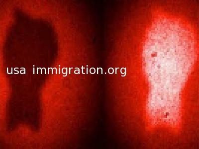 usa immigration.org