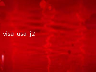 visa usa j2