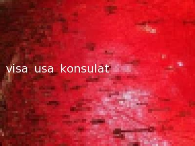 visa usa konsulat
