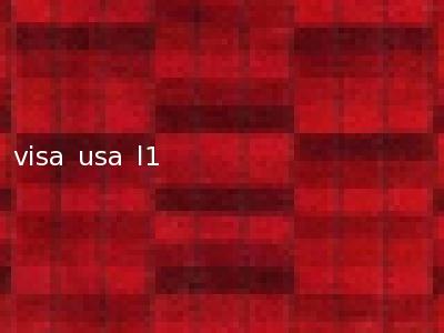 visa usa l1