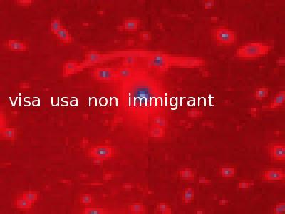 visa usa non immigrant