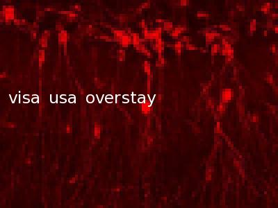 visa usa overstay