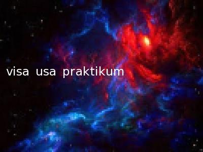visa usa praktikum