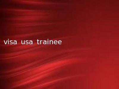 visa usa trainee