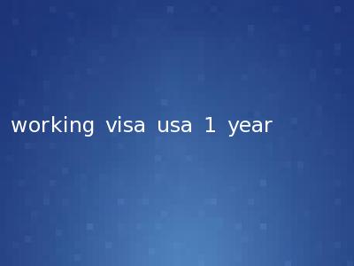 working visa usa 1 year